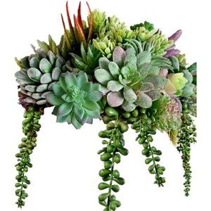 16 Pack Artificial Succulent Create Realistic Succulent Flocking Plants Unpotted